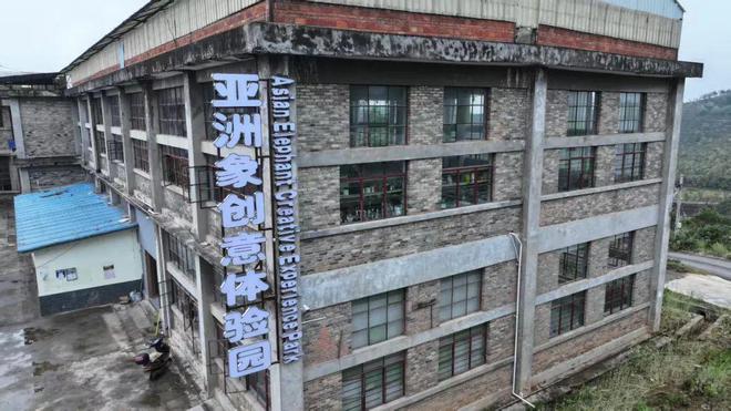 南省高质高效使用衔接资金推进乡村振兴见闻录pg电子免费模拟器游戏好雨知时节 ——云(图6)